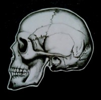 /album/fotogaleria-kresby/a8-jpg/