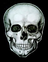 /album/fotogaleria-kresby/a9-jpg/