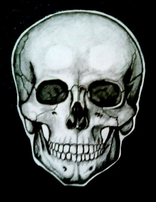 Lebka spredu